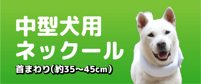 中型犬用ネックール
