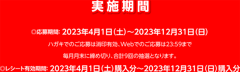 実施期間