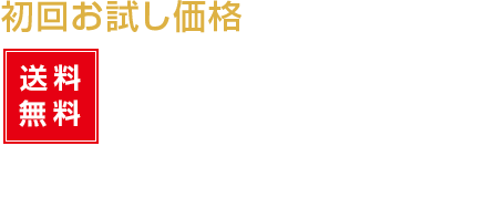 送料無料4200円